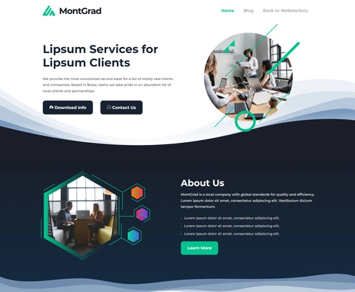 Express Web Design/Template #5 by webmarkets