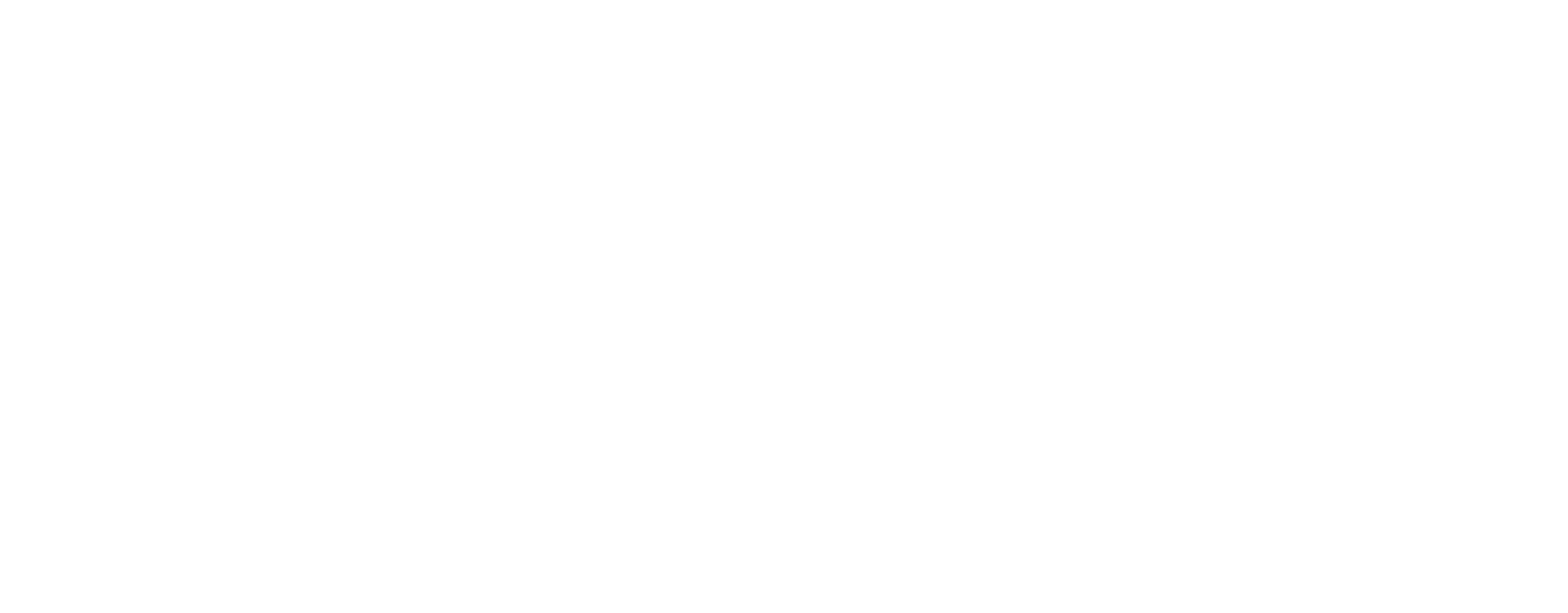 Natural Alternatives Logo